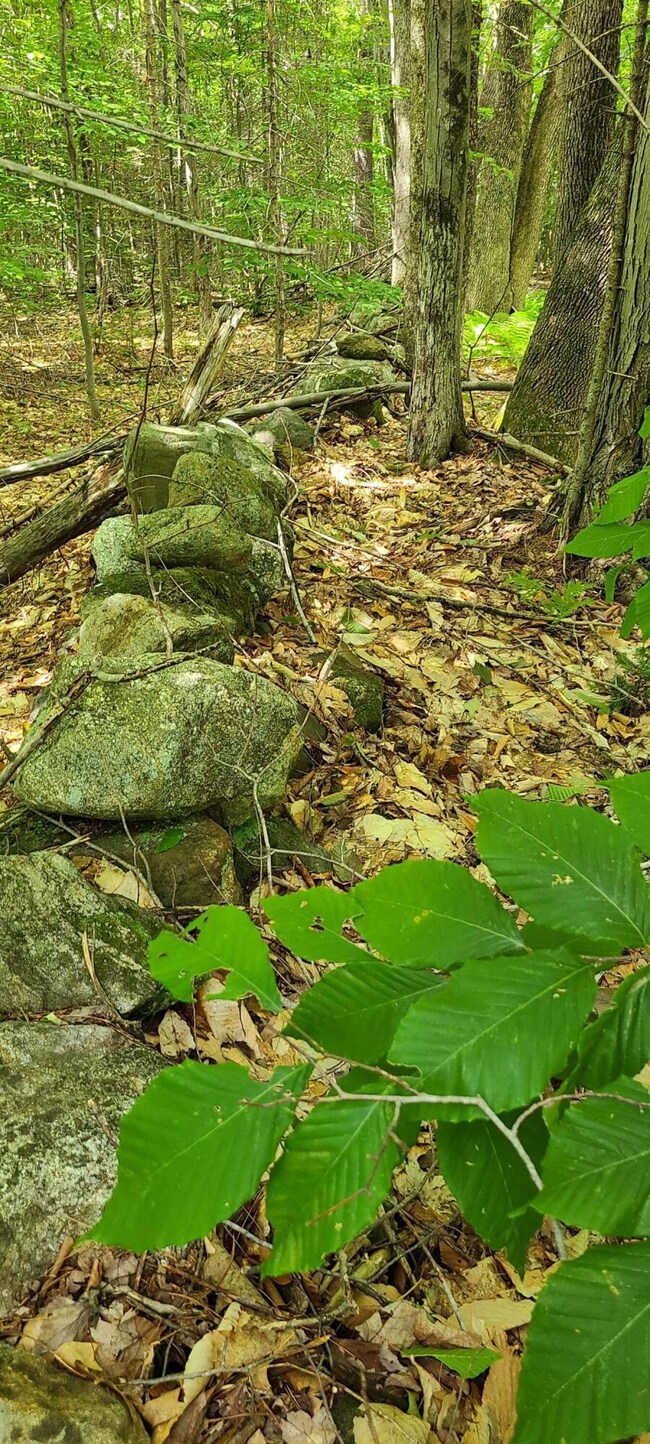 579 Paris Hill Rd, Buckfield, ME 04220 - photo 3