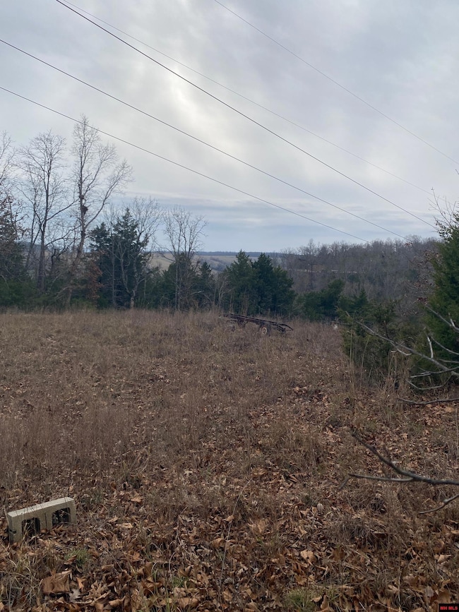 001-02798-001 Island Head Ln, Flippin, AR 72634 - photo 3