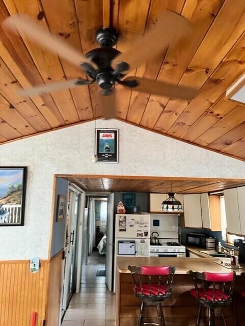 livingroom ceiling
