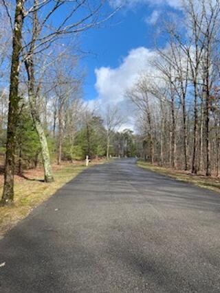 0 Stewart Ln unit 1312360, Rising Fawn, GA 30738 - photo 3