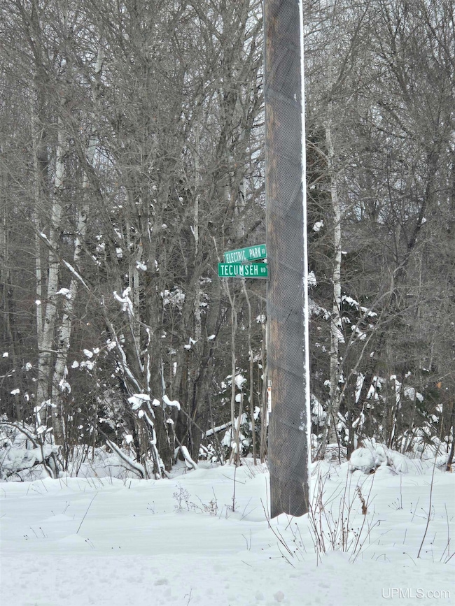 TBD Electric Park Rd, Calumet, MI 49913 - photo 3