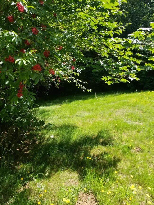 20180713_121233