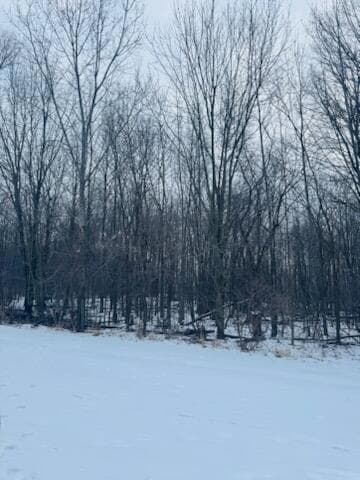 66 Hickory Trail, Grand Blanc, MI 48439 - photo 5