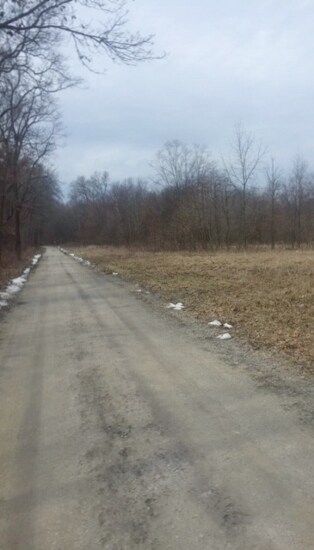 10209 E 775 S, Monterey, IN 46960 - photo 7