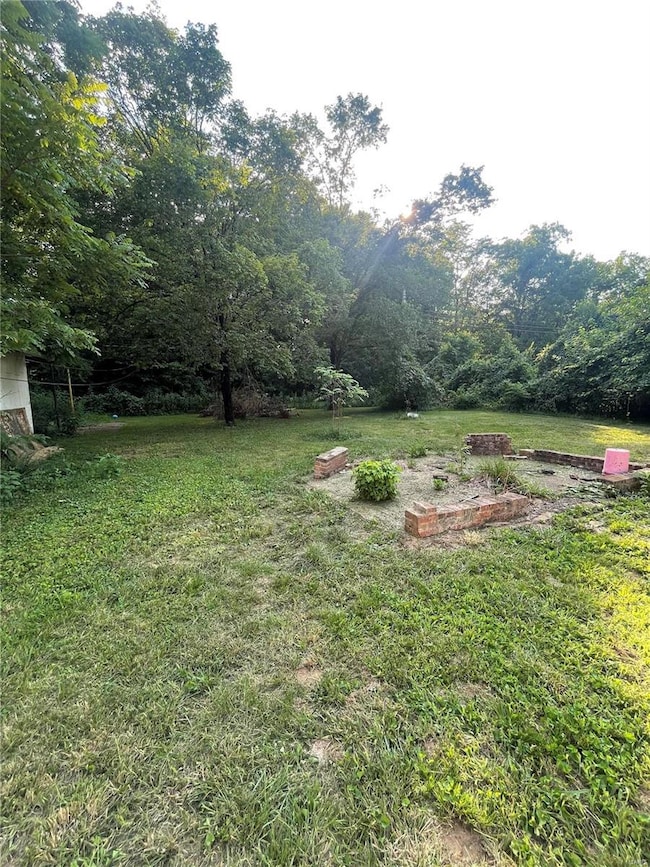 328 Michael Ln, Ironton, MO 63650 - photo 6