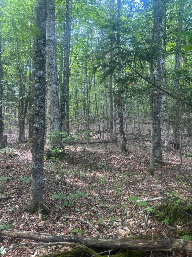 Lot10 Gray, Harmony, ME 04942 - photo 3