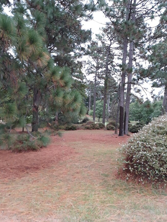 Lot view 1 Golf course lot