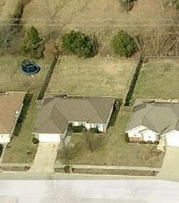 birds eye