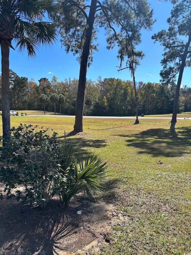 829 Commanders Island Rd unit Lot 183, Georgetown, SC 29440 - photo 2