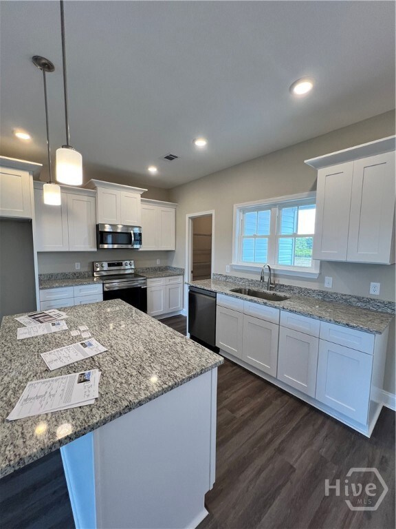 147 Griffith Ln, Statesboro, GA 30458 - photo 6