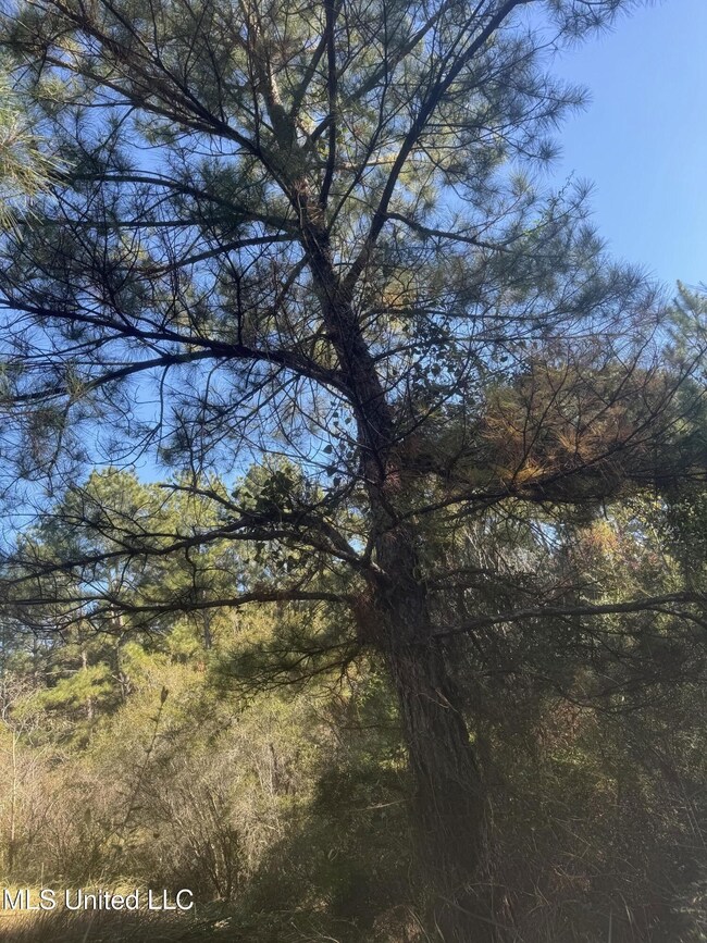 E 528 Rd, Kiln, MS 39556 - photo 7