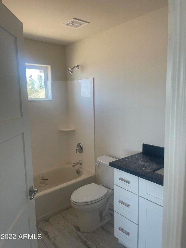 Hall bathroom