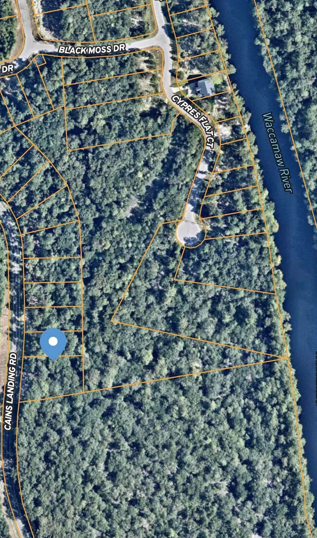 1093 Caines Landing Rd, Conway, SC 29526 - photo 4