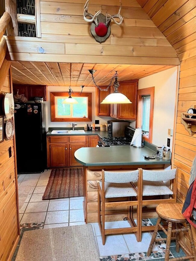 W10296 Koepenick Rd, Deerbrook, WI 54424 - photo 6