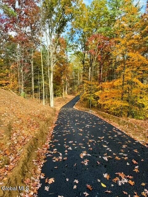 14 Sagano St, Saratoga Springs, NY 12866 - photo 5