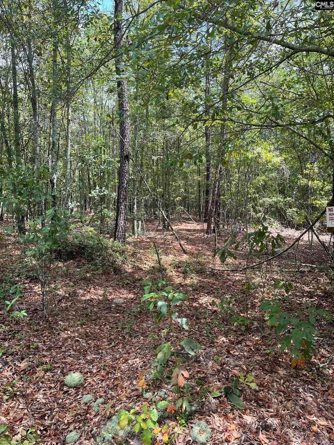 BHL 6 Boise Cascade Rd unit BHL 6, Bethune, SC 29009 - photo 4