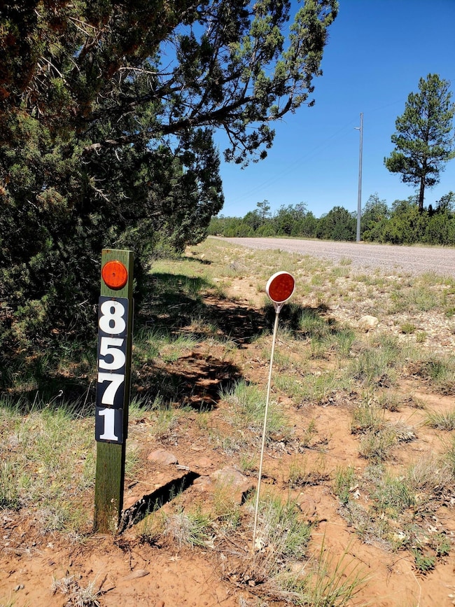 8571 Haven Crest Dr, Blue Ridge, AZ 86024 - photo 2