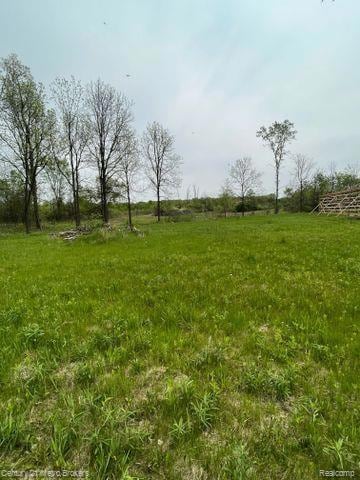 0 N Irish Rd unit 20251059753, Davison, MI 48423 - photo 4