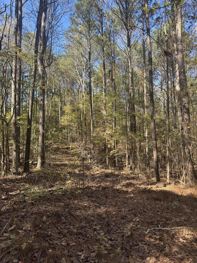 0 County Road 2350, Guntown, MS 38849 - photo 6