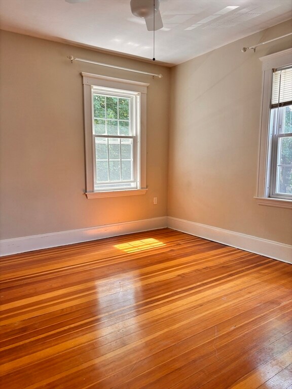 15 Chester Rd unit 2, Belmont, MA 02478 - photo 5
