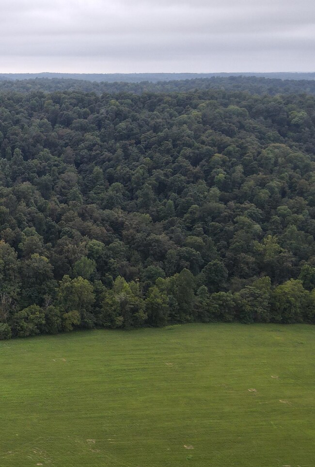 0 Woods Prong Rd, Linden, TN 37096 - photo 6