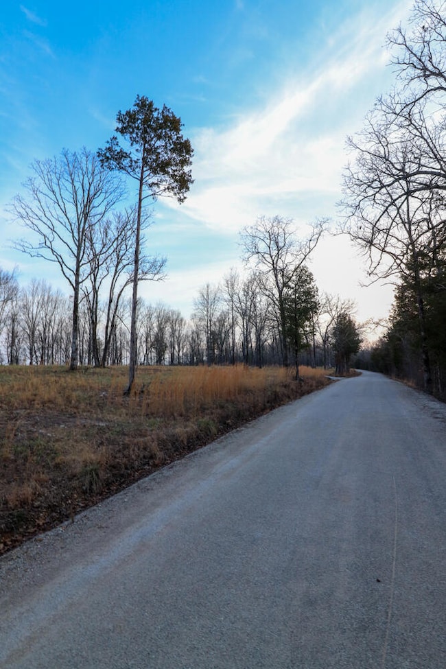 000 Barton Rd, Cedar Creek Township, MO 65627 - photo 7