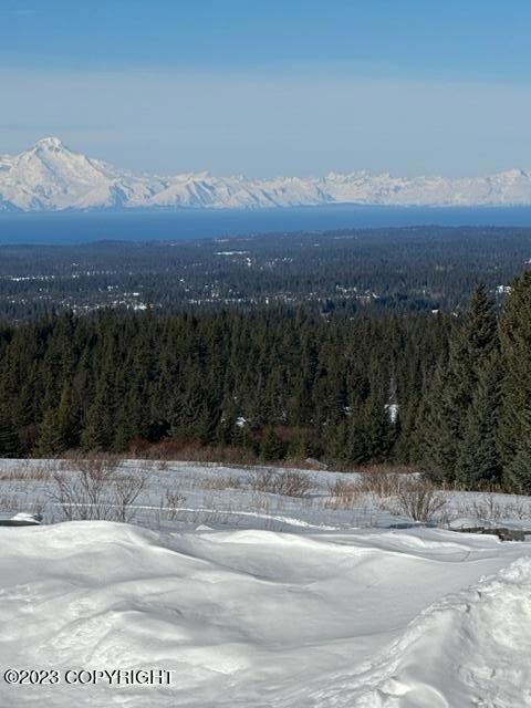 Illiamna  Volcano