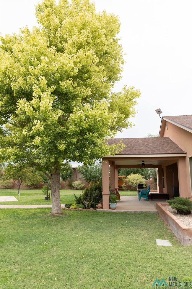 4009 Doc Holliday Ct, Carlsbad, NM 88220 - photo 7