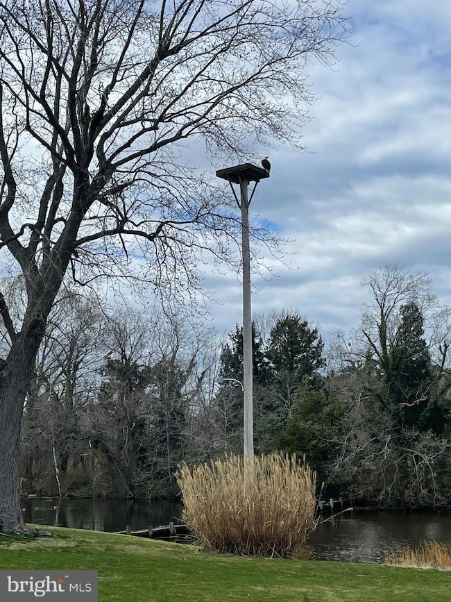 1508 Hambrooks Blvd, Cambridge, MD 21613 - photo 2