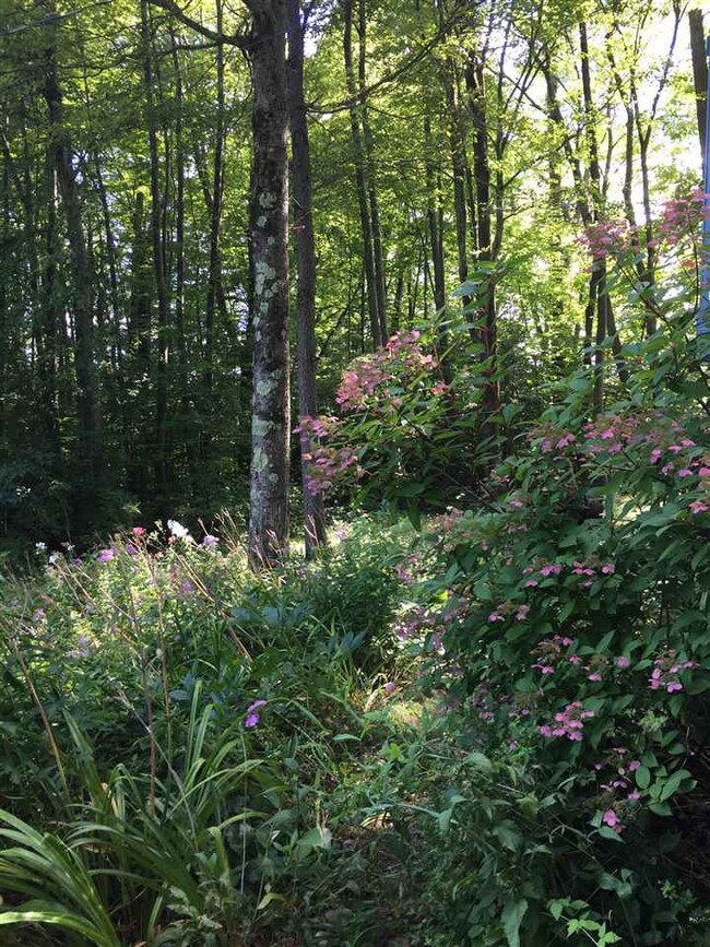 465 Abbott Rd, Brattleboro, VT 05301 - photo 2