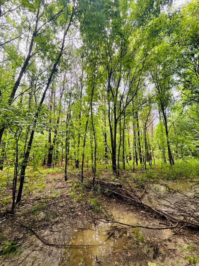 0 Happy Hollow Rd, Woodland, MS 39776 - photo 7