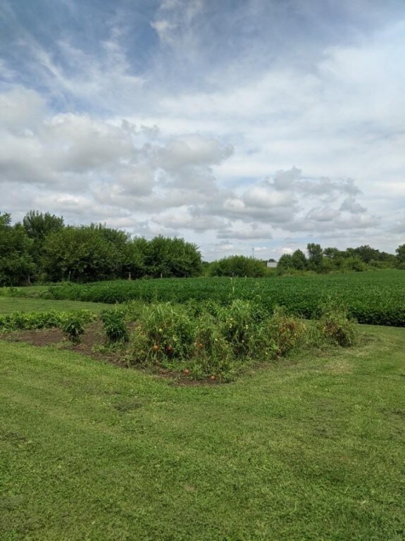 1112 N 19th St, Mattoon, IL 61938 - photo 7