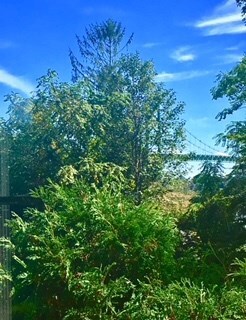 10 Monkey Wrench Ln, Bristol, RI 02809 - photo 5