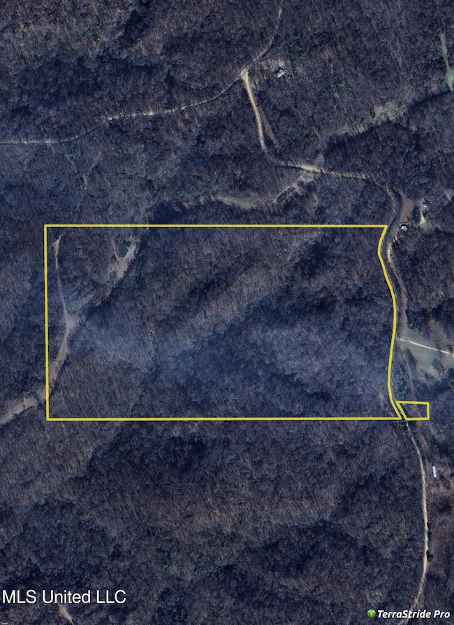 Website Aerial
