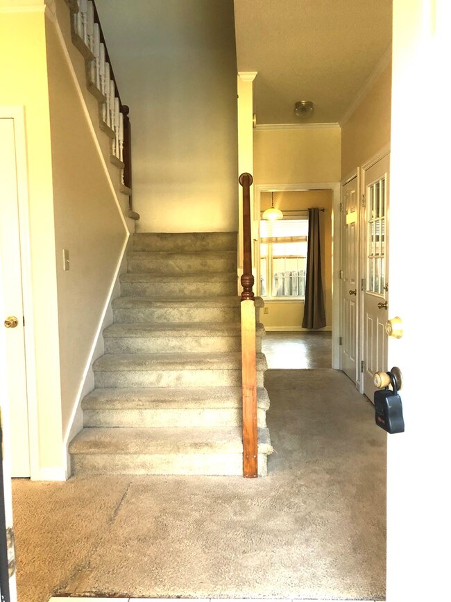 3854 Live Oak Ln, Augusta, GA 30907 - photo 4