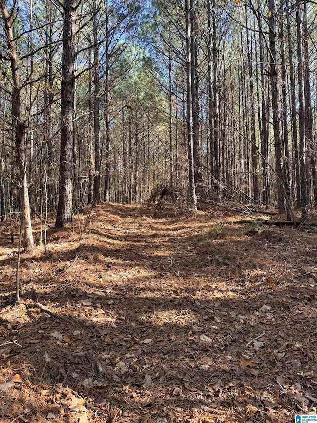 9400 Bradford Trafford Rd, Warrior, AL 35180 - photo 2