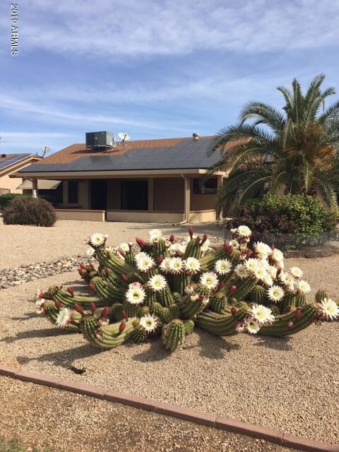 14125 W Pennystone Dr, Sun City West, AZ 85375 - photo 6