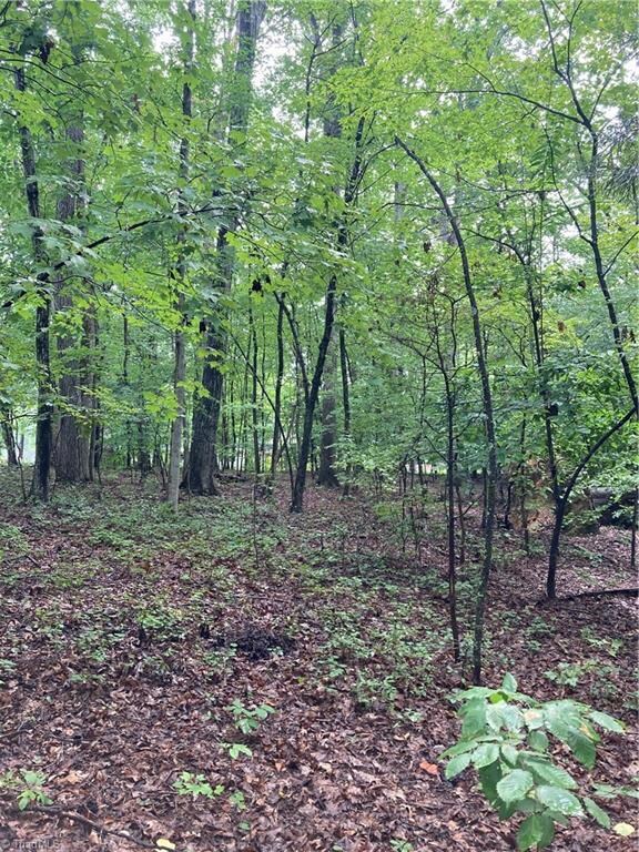 1405 Mack Rd, Asheboro, NC 27205 - photo 6