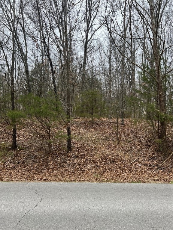 4 Oniell Dr, Bella Vista, AR 72715 - photo 3