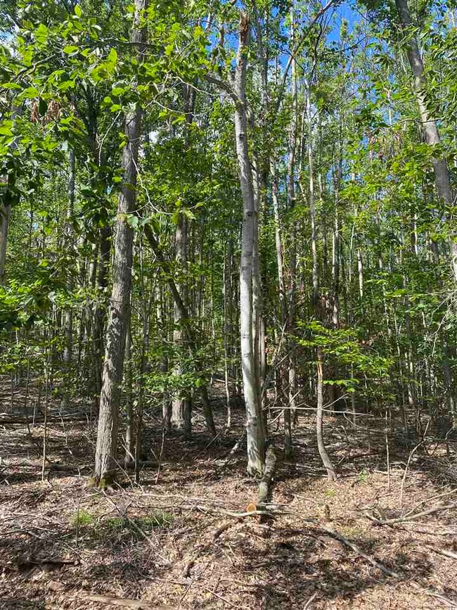 Lots 156 & 157 Humming Bird Ct unit 156 & 157, Otsego Lake Township, MI 49735 - photo 5