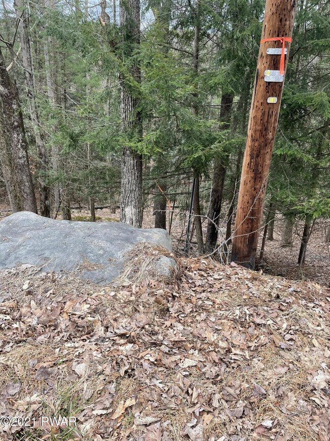 lot 10 Woodledge Alley E, Hawley, PA 18428 - photo 3