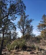Prcl 4 Vegetation