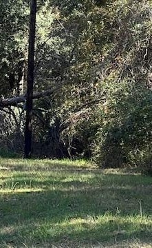 TBD Clark Rd, Plantersville, TX 77363 - photo 3