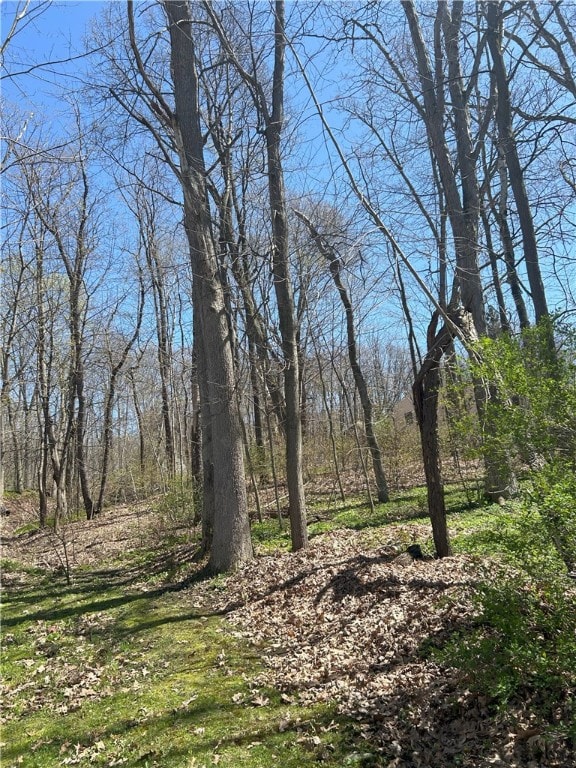 0 Janes Rd, Castile, NY 14530 - photo 7