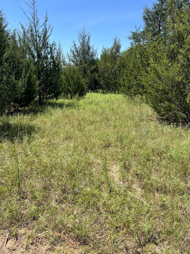 165 Deerfield Rd unit Lot 72, Colbert, OK 74733 - photo 6