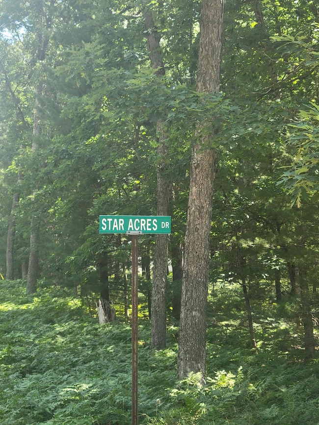 0 Star Acres Dr unit 25034744, Baldwin, MI 49304 - photo 3