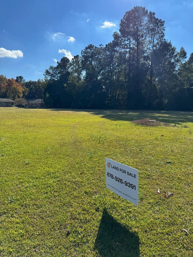 W Huggins St, Manning, SC 29102 - photo 2