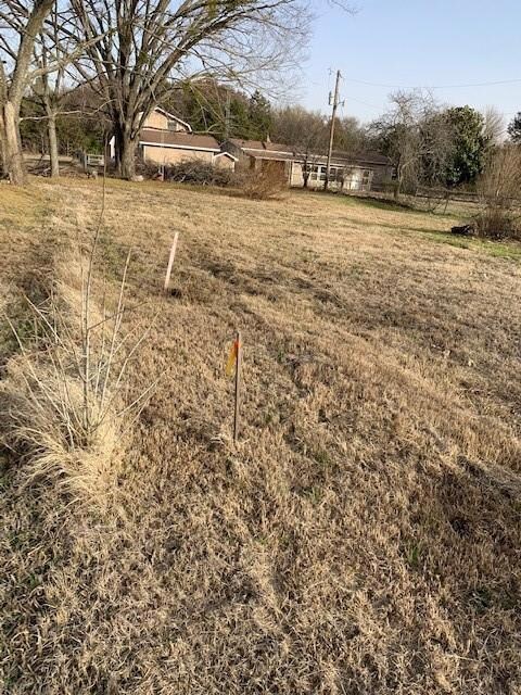 TBD Bluebird Rd, Sadler, TX 76264 - photo 3