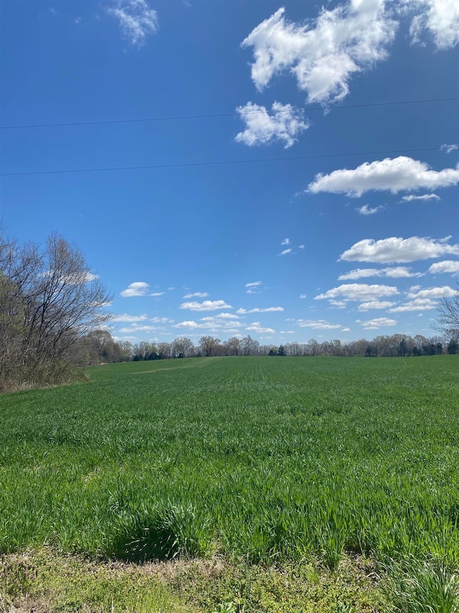 00 Fredonia Rd, Mason, TN 38049 - photo 3