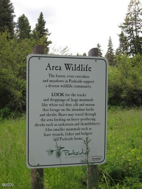 Lot 3 Parkside at Fisher River, Libby, MT 59923 - photo 3